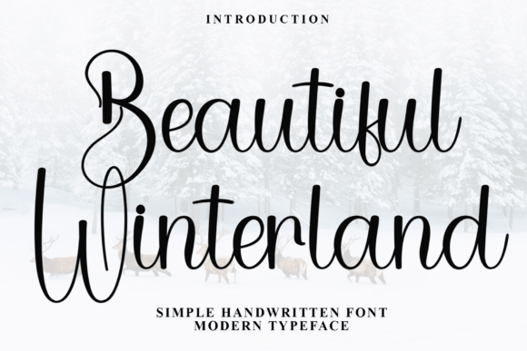 Beautiful Winterland Font for Warm, Trustworthy Branding