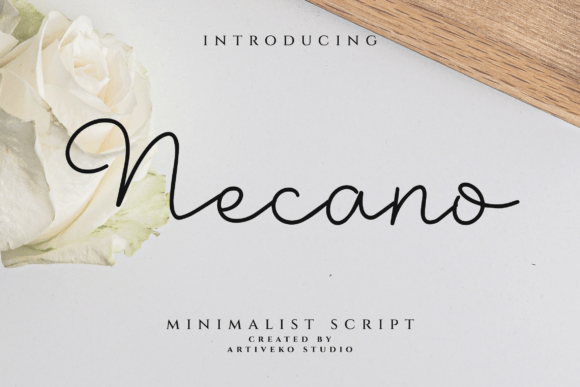 Necano: A Script Amp That Earns Its Space